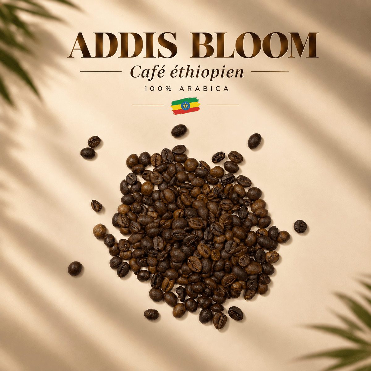 Café d'Éthiopie 100% Arabica - ADDIS BLOOM - ZARO